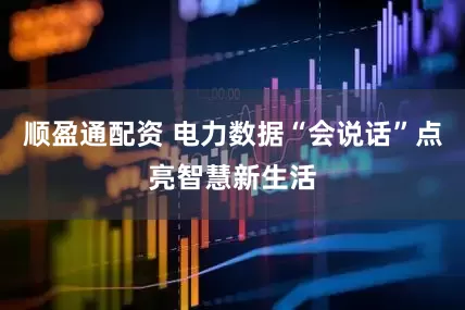 顺盈通配资 电力数据“会说话”点亮智慧新生活
