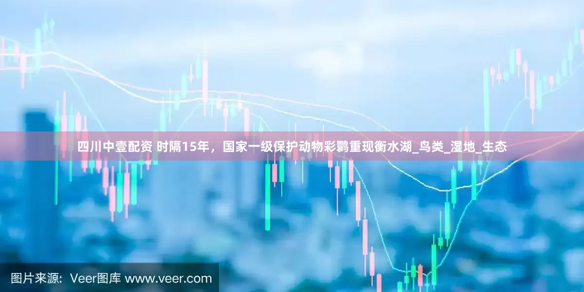 四川中壹配资 时隔15年，国家一级保护动物彩鹮重现衡水湖_鸟类_湿地_生态