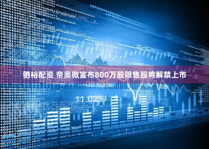 驷裕配资 帝奥微宣布800万股限售股将解禁上市