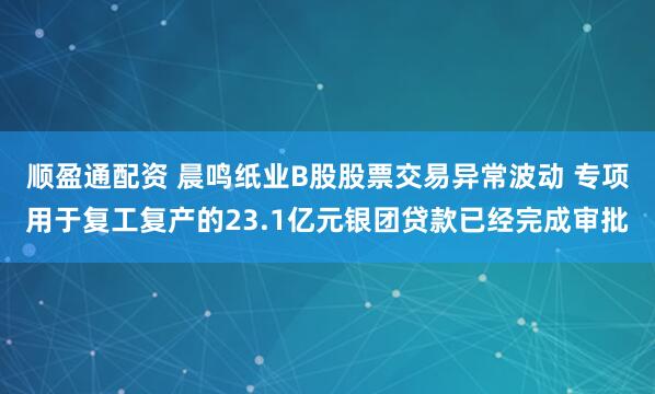 顺盈通配资 晨鸣纸业B股股票交易异常波动 专项用于复工复产的23.1亿元银团贷款已经完成审批