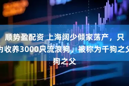 顺势盈配资 上海阔少倾家荡产，只为收养3000只流浪狗，被称为千狗之父