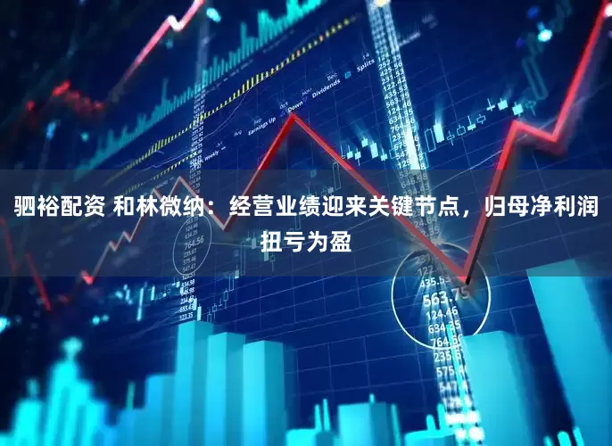 驷裕配资 和林微纳：经营业绩迎来关键节点，归母净利润扭亏为盈